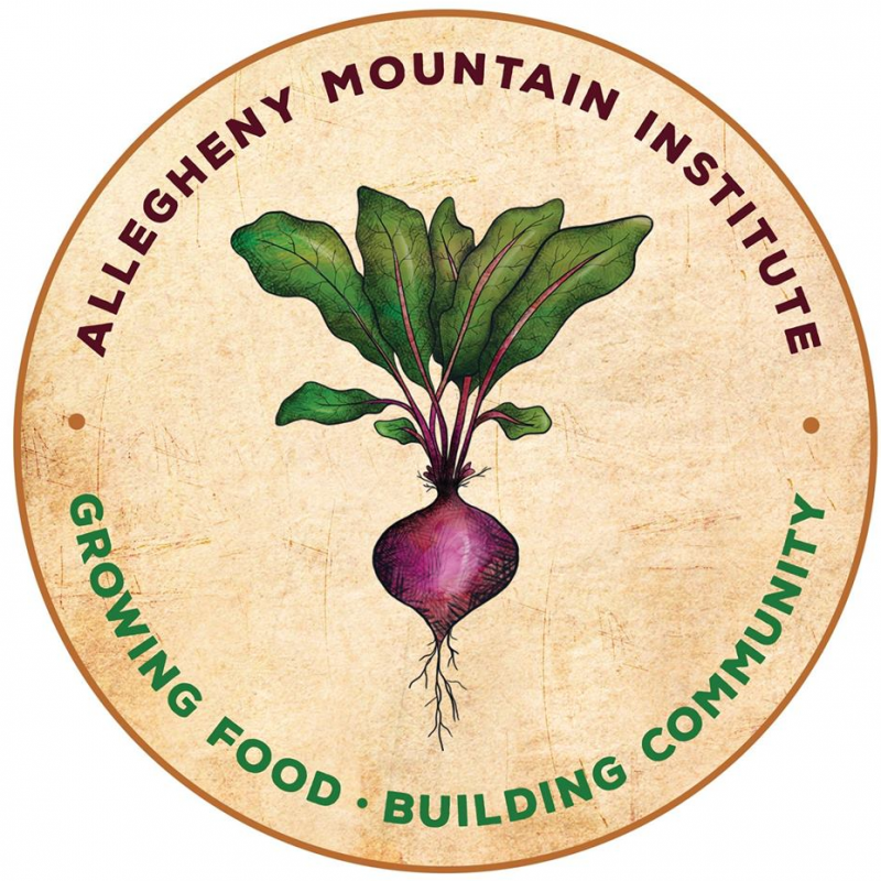 Allegheny Mountain Institute Fellowship